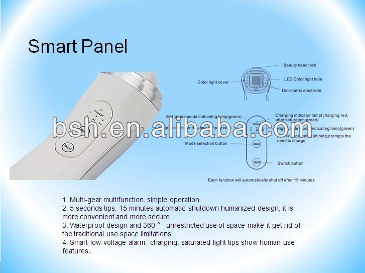 AC100 - 240 V Multifunction Beauty Device , Skin Rejuvenation Device