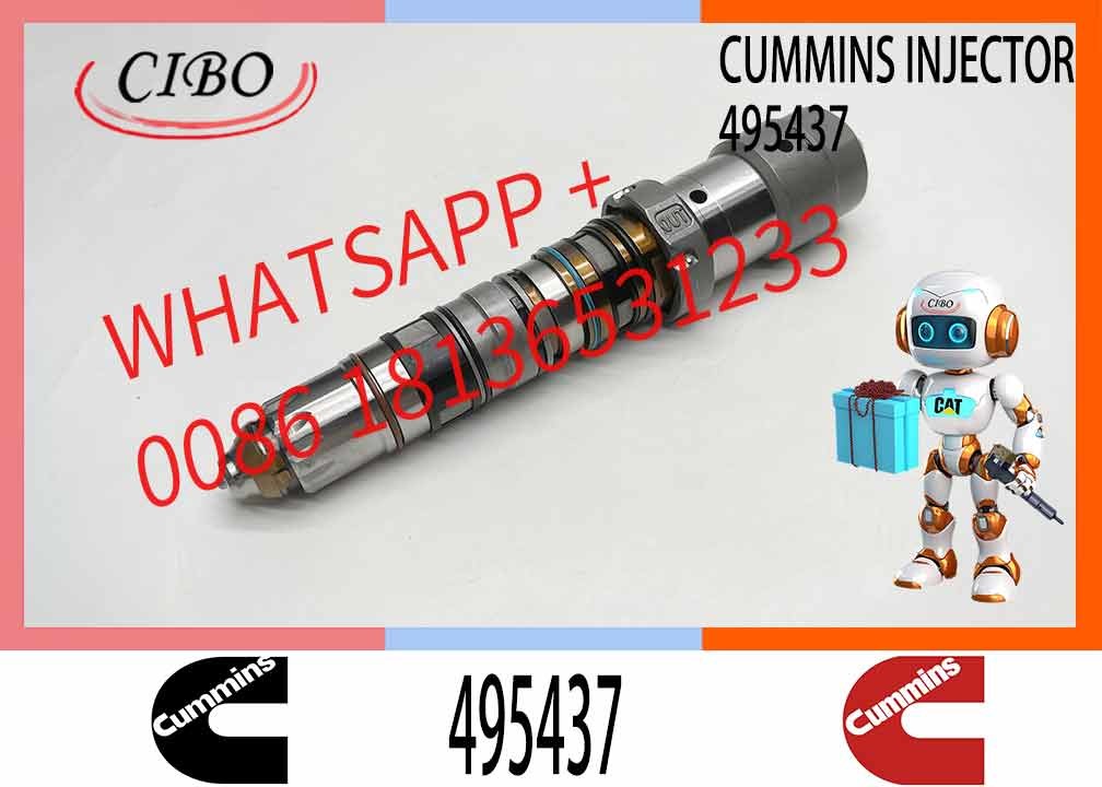 Diesel Engine Part Excavator Fuel Injector 432678 495437 4077076 4902817