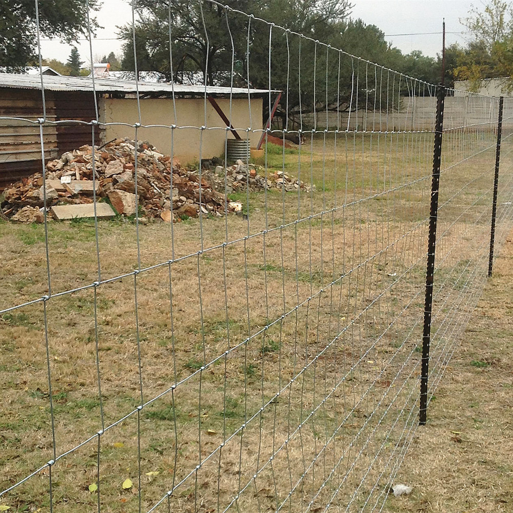 Metal Iron High Tensile Fixed Knot Wire Fencing 50ft For Horse Farm