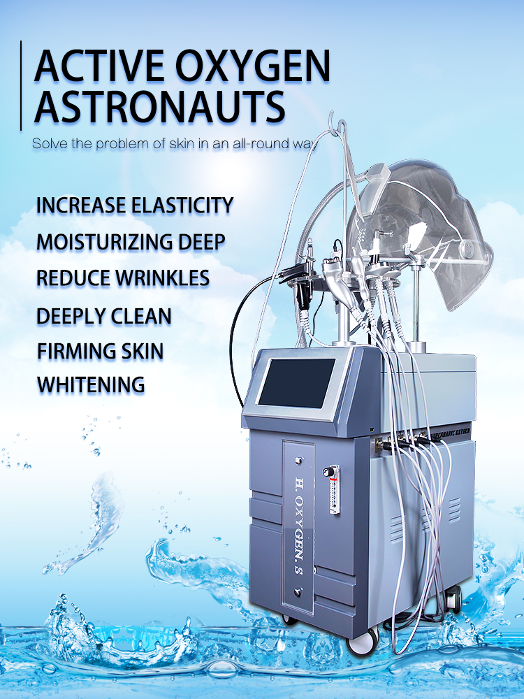 Multifunctional 10 in 1 facial care skin Moisturizing hydra oxygen mask jet peel skin facial care machine