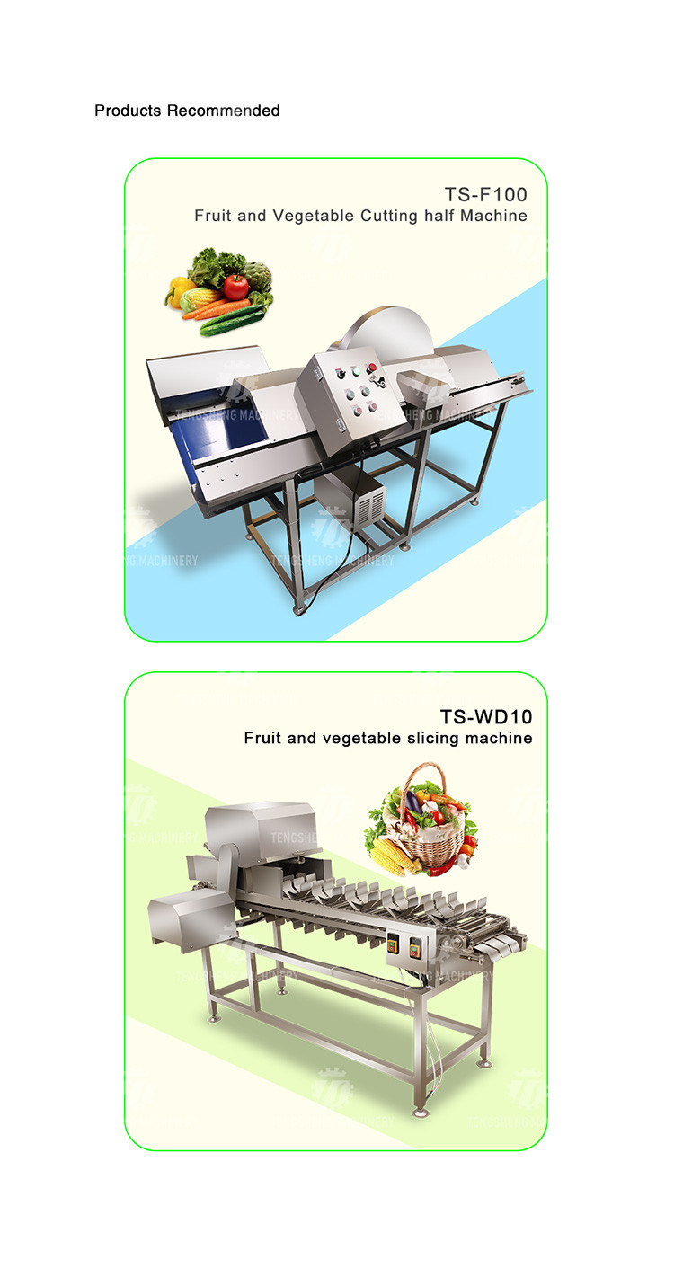 120KG Stainless steel melon and fruit slicing machine cucumber and cabbage slicing machine cucumber slicing machine