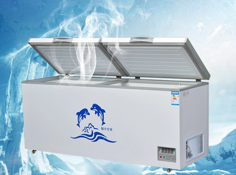 Top Deep Chest Freezer 1250 Liters High brightness with long life