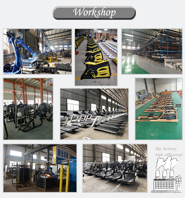 Online Bodybuilding 1240*720*1600mm Leg Raise Machine