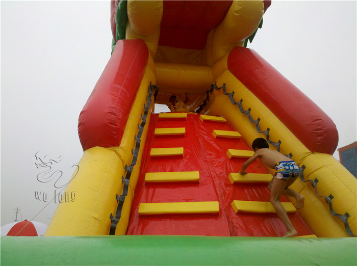 Giant Inflatable Water Slide, Water Slide For Water Park
