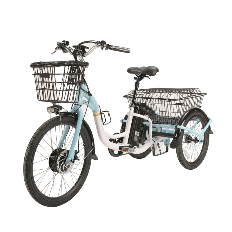 48V 13Ah Battery Adults 250W 3 Wheel Car Ecargo Electric Tricycle Fat Tire Retailer