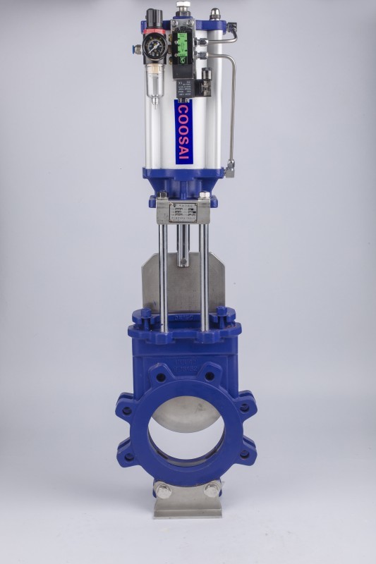 Double Acting Pneumatic Gate Valve with Double Acting Design Carbon Steel