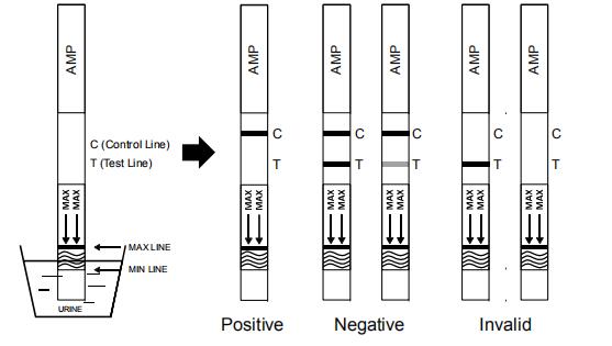 CE Stable Amphetamine AMP Single Drug Urine Test Panel Medical Product
