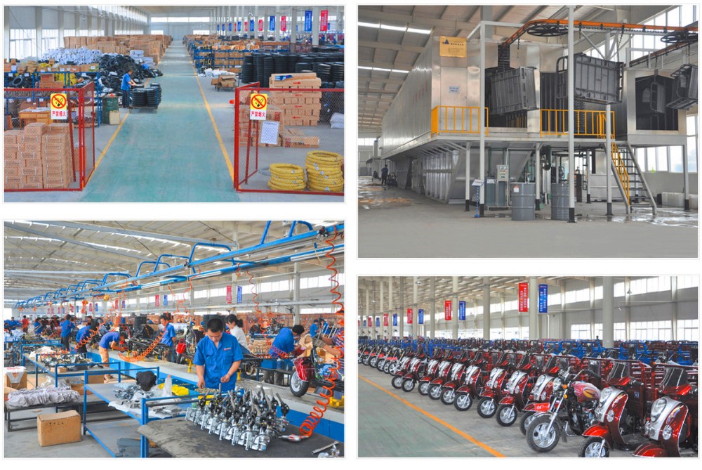 Zongshen Engine Adult Passenger Petrol Five Wheel Motorcycle