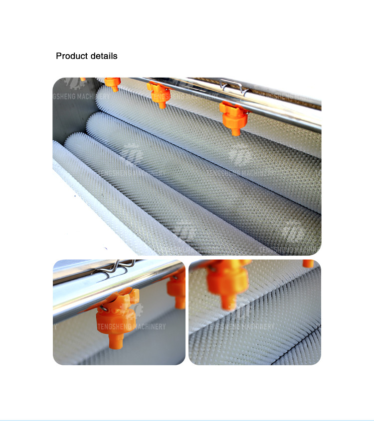 Factory direct with standard multi-functional fruit washing machine medium-sized lotus root washing radish machine