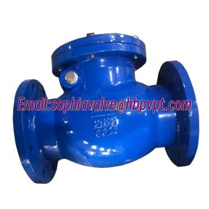 Design standard DIN GG25 metal seal cast iron check valve