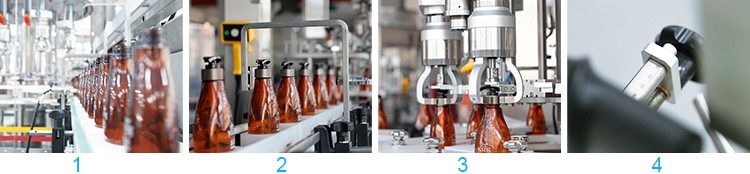 Small Monoblock Automatic Bottle Filling Machine