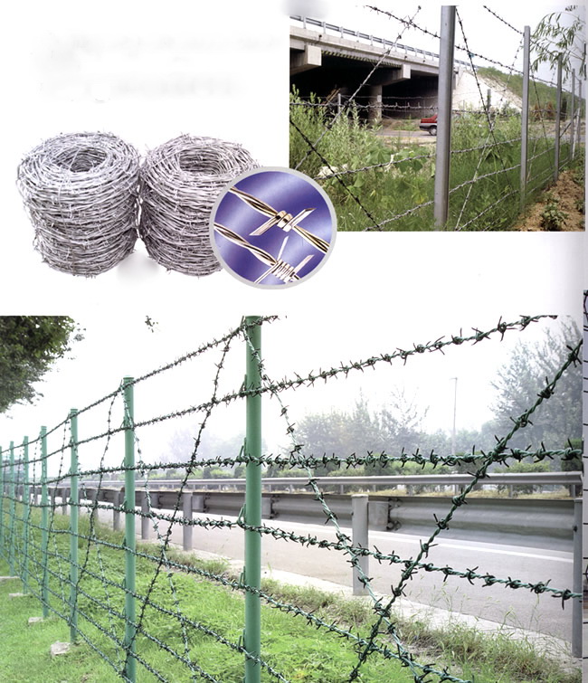 Galvanized Barbed wire