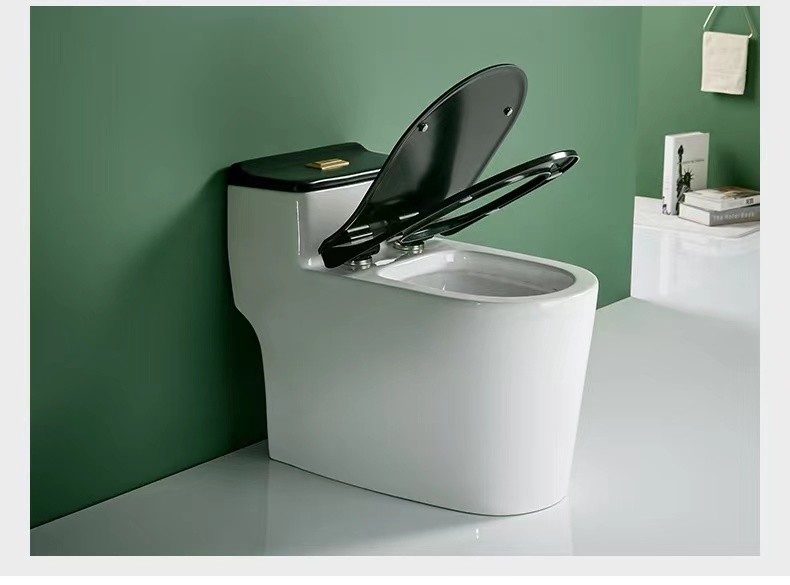 One Piece Dual Flush Sanitary Ware Toilet Floor Mounted 3D Design