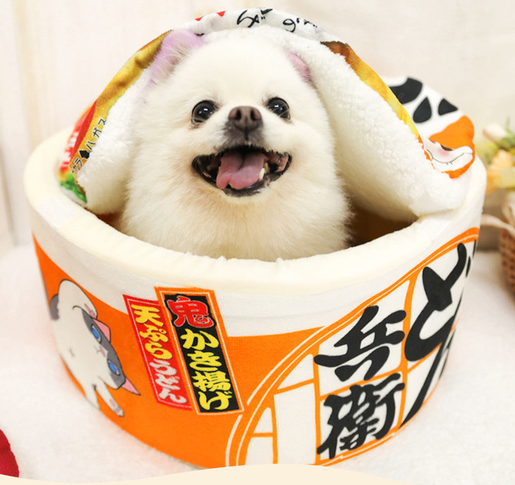 extra large covered cat bed