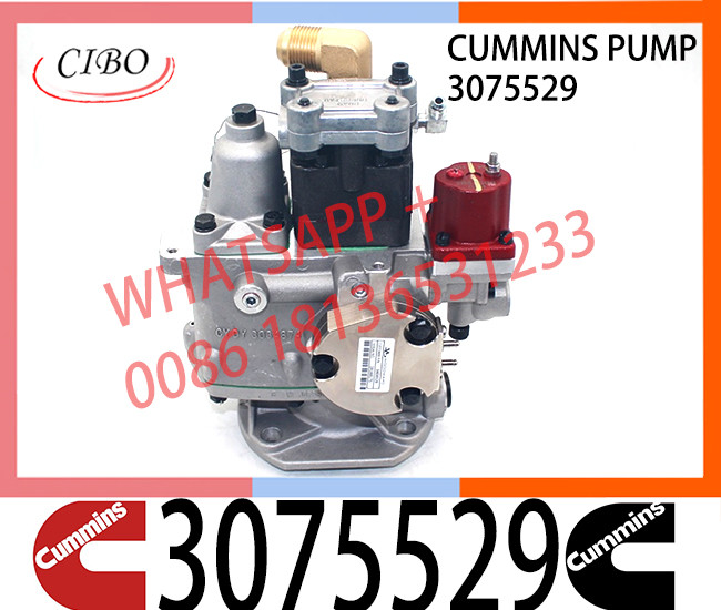 Genuine Cummins diesel marine parts KTA38 QSK38 PT fuel pump 3075529 3075664