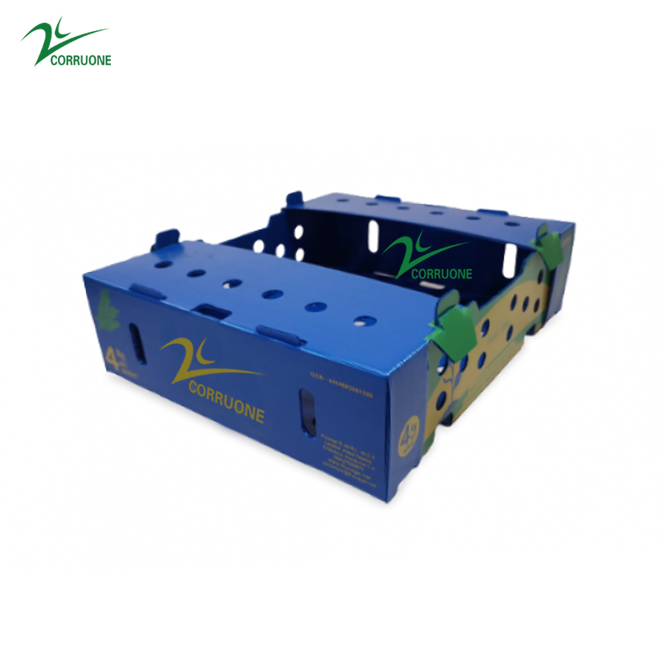 Corn Corflute Box Vegetable Corrugated Boxes Recyclable Custom Size