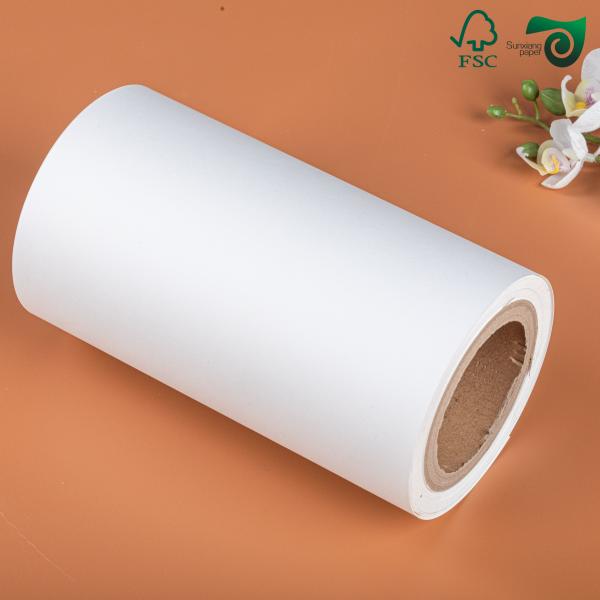 FSC White Coated CAD Plotter Rolls 80gsm 914mm 50 Yards 5 Roll Carton