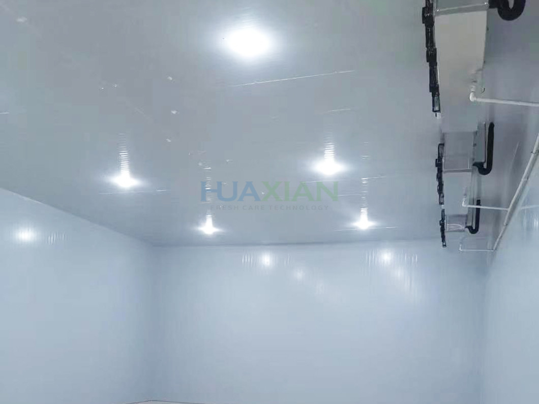 150 square Meters Vegetables Cold Storage Room With Sliding Doors