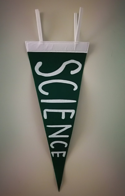 Waterproof 30x70cm Blank Wool Pennants Silk Screen Printing flag triangle pennant