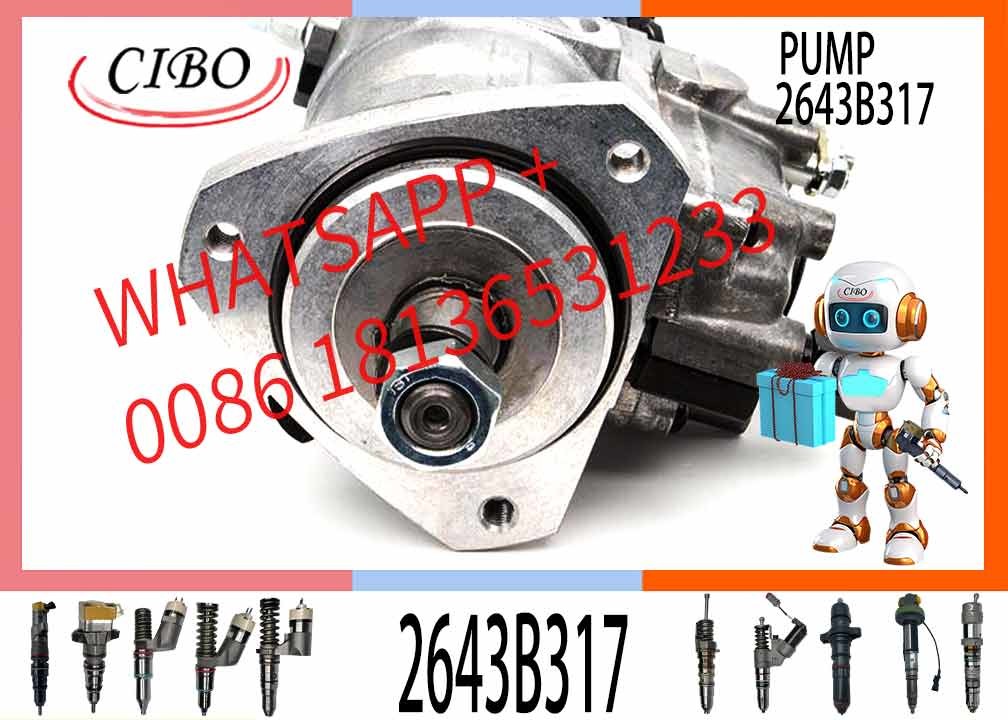 Common Rail Fuel Injection Pump 2643b317 2643B317 V3230F572T V3239F592T