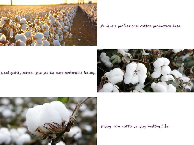 Eco Friendly Medical Absorbent Cotton Balls Sterilie Or Non Sterile Available