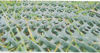 Moulding Service Green Drainage Mat for Nature Pressure Treated Wood Plastic Plain Net