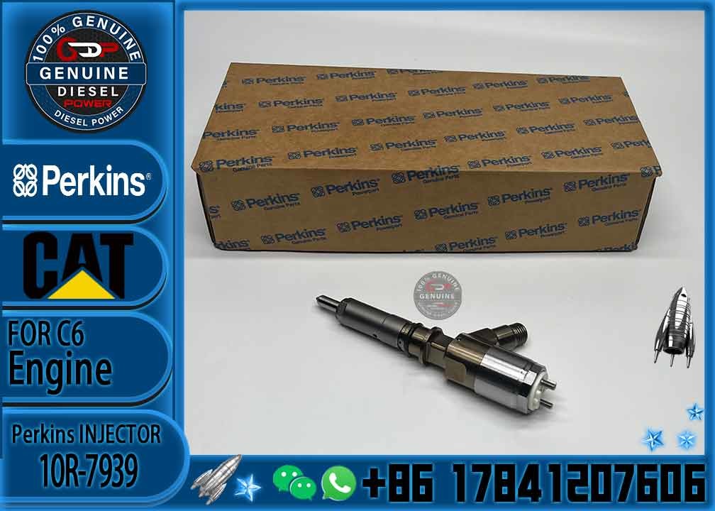 New Fuel Injector 10R-7669 10R-7667 321-1080 10R-7939 2645A742 2645A753 2645A747 292-3780 for Perkins CAT C6.6 C6.4