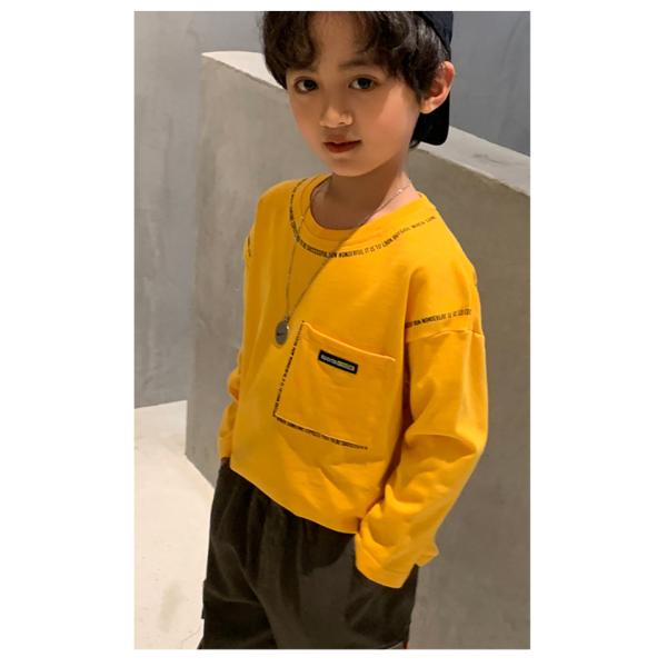 Spring Autumn Aged 4-13 Boys Long Sleeves Sweatshirts Round Collar Handsome