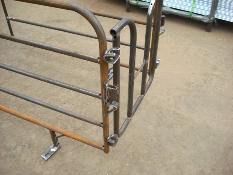 Customized Size Pig Gestation Crates φ32*2.5mm Steel Tube Material Space Saving