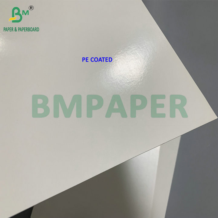 275/325g + 15g PE Poly - coated Paperboard Withstanding Cold Freezer Temperatures