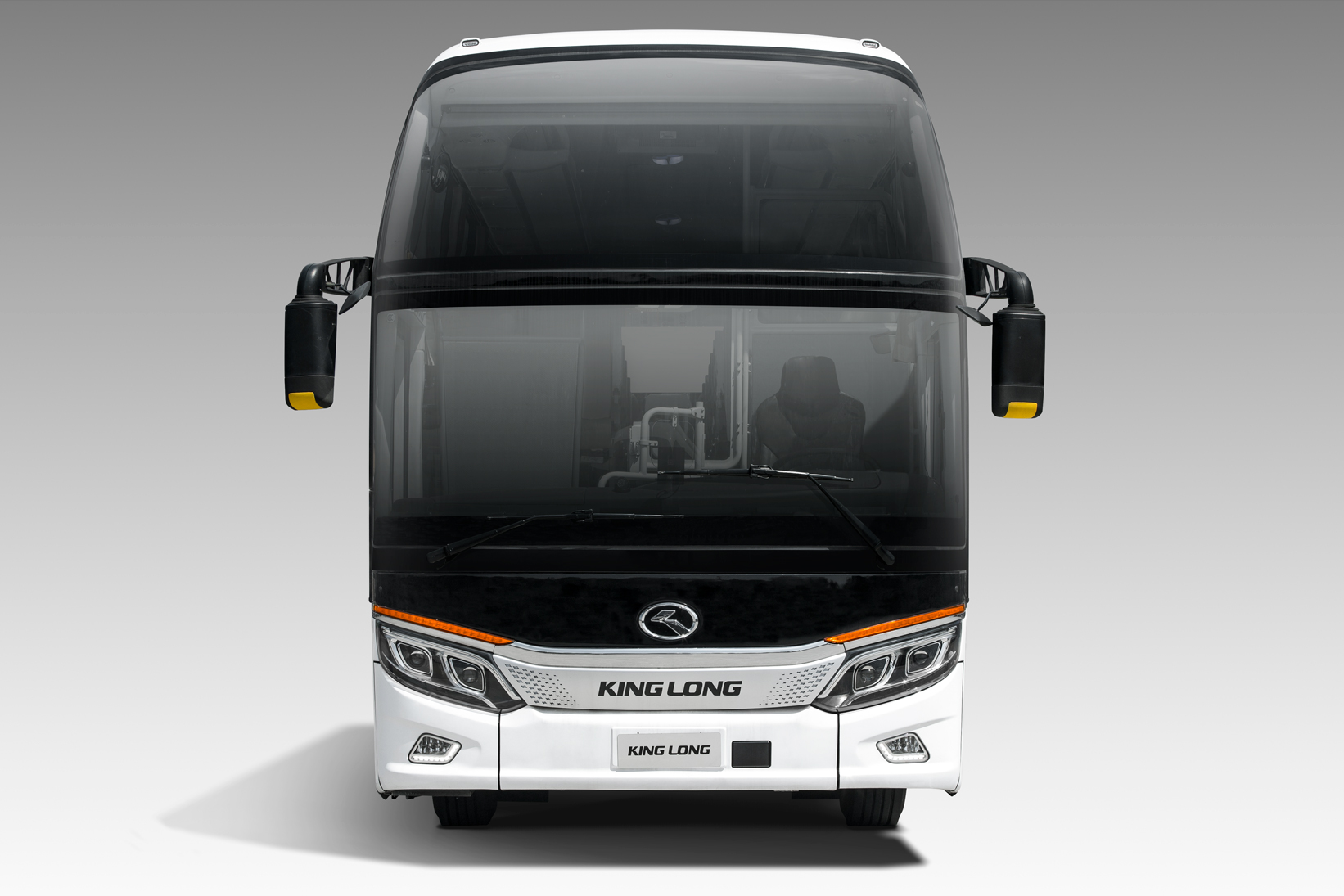 12m 49 Seats Diesel Engine Luxury Coach Bus For Transportation Manual Transmission Type