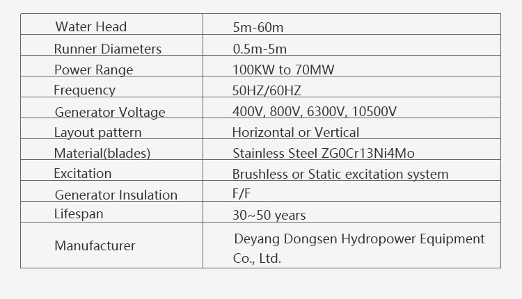 Hydroelectric Turbine Kaplan 250kw/Kaplan Hydro Turbine Generator/High Quality 1mw Kaplan
