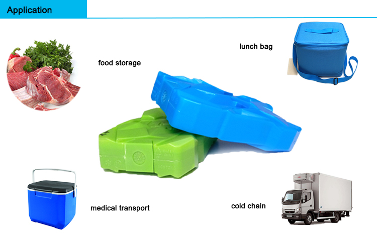 CE Report BPA reusable ice cooler ice brick