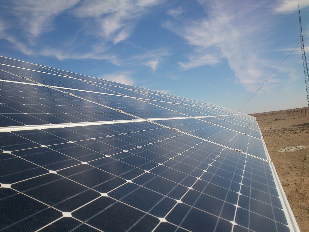 A Grade 265W Mono Solar Panel 1640*992*40mm[Oushang Solar]