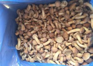 China Grade A IQF Mushrooms / Frozen Cultivated Nameko Mushrooms With Typical Taste on sale