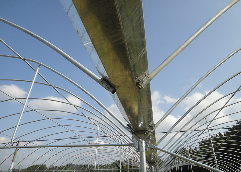 Insectproof Multi Span Greenhouse Sunshading Net For Flower Growing