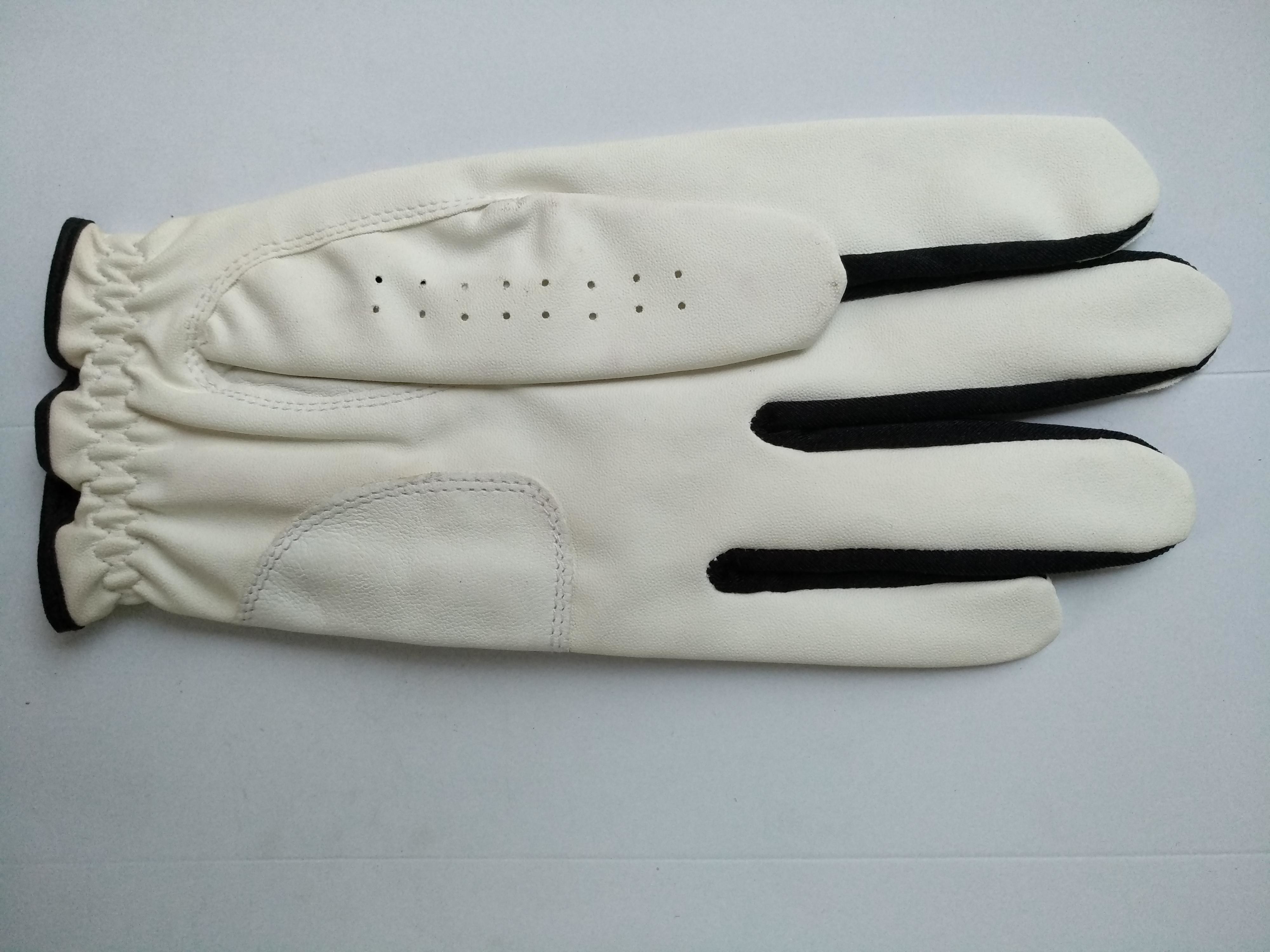 golf glove , golf gloves , glove , gloves