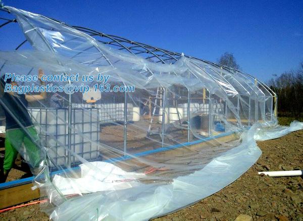 plastic film agriculture greenhouse,6 mil poly anti-uv plastic greenhouse film