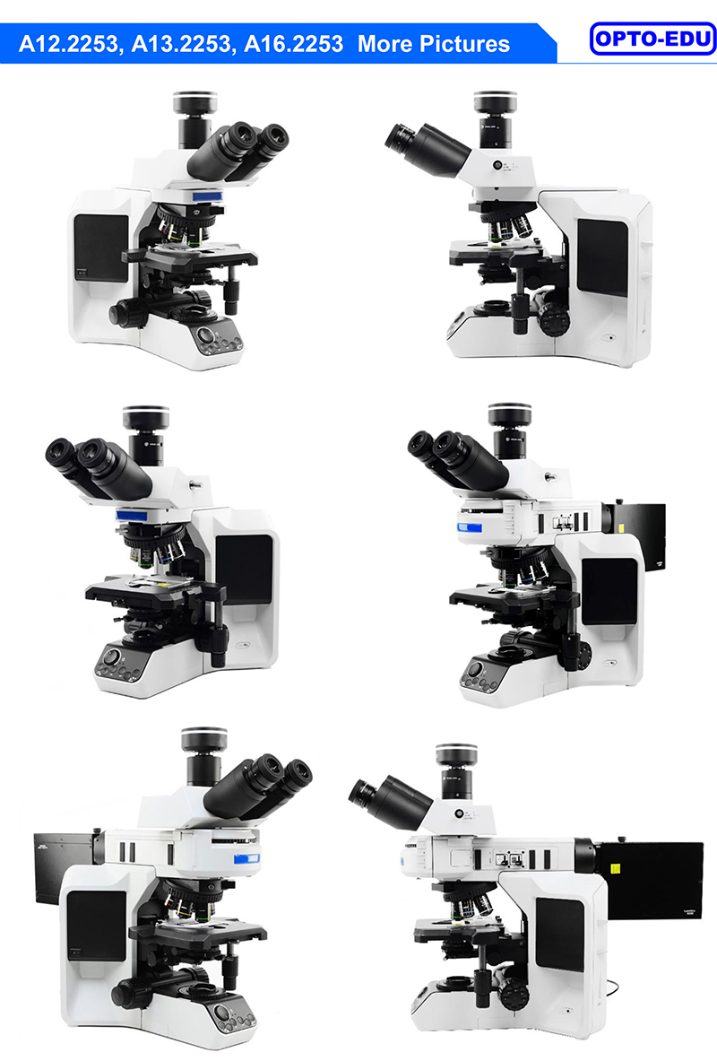 Opto Edu A16.2253 Fluorescence Microscope Infinity Plan Achromatic Optical System