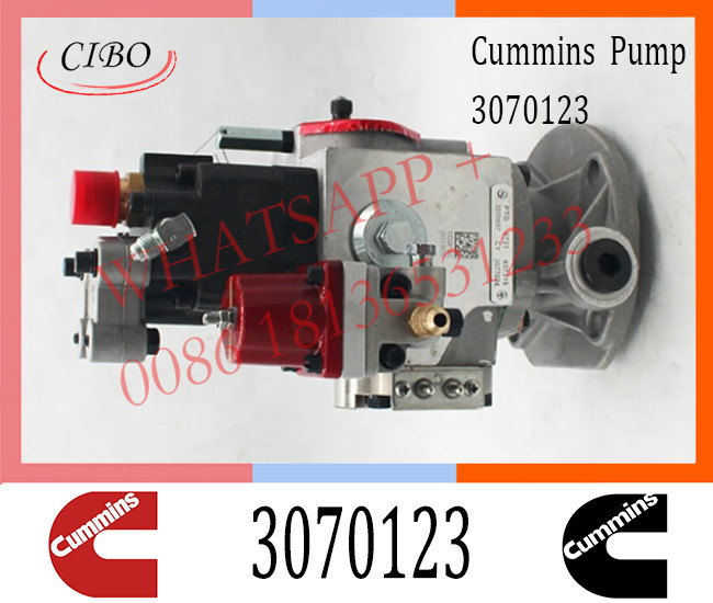 Cummins Diesel NTA855 Engine PT Fuel Injection Pump 3070123 3075537 3059657