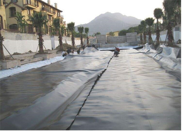 Thickness 0.5mm High Density Polyethylene Geomembrane Hdpe Fish Pond