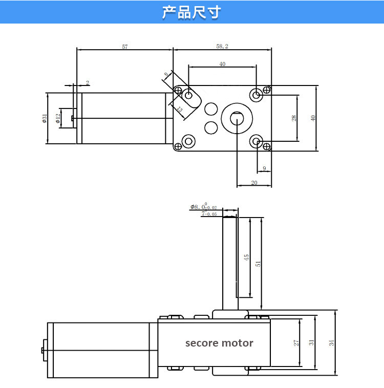 51mm Shaft DC Worm Gear Motor 200RPM 12 Volt Bldc With Dual Ball Bearing