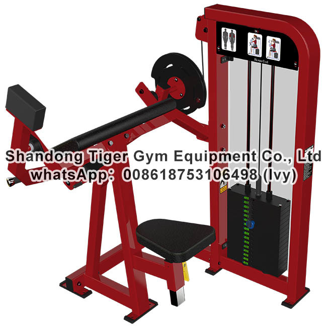 Single Station Gym fitness equipment machine Biceps Curl exercise machine