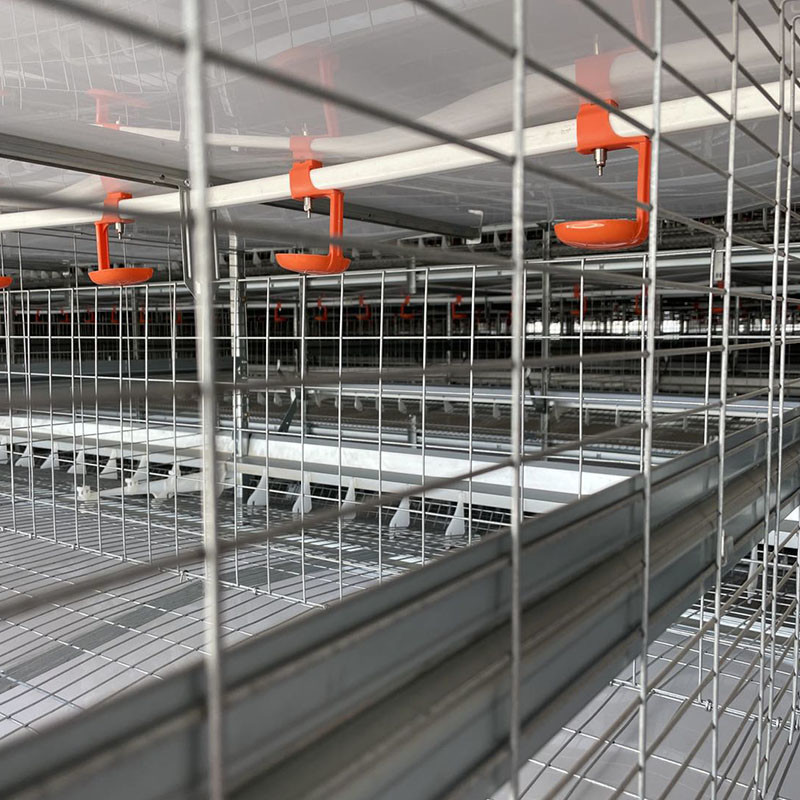 380V 220V Chicken Farm Equipment 45cm Pipe Broiler Chicken Feeders Drinkers