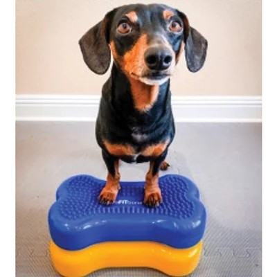 Bone stick bone shape Fit PAWS Dog Training Fitness Balance massage board Mat