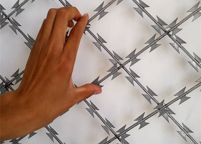 2.5mm Dia Razor Blade Fencing Wire Hot Dip Galvanized