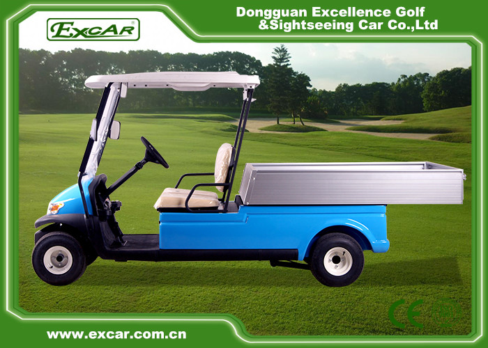 2 Passenger Electric Utility Car With Cargo Box