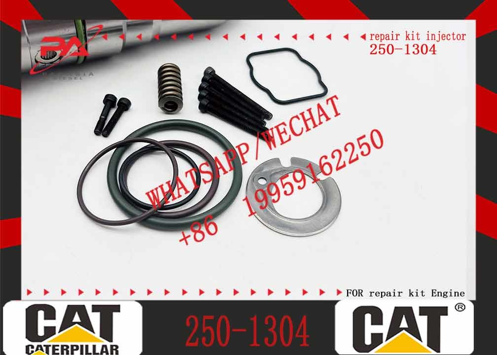 Diesel Engine Injector162-8813 246-1854 250-1311 250-1302 250-1304 250-1303 250-1306 250-1308For Caterpillar C3512B Common Rail