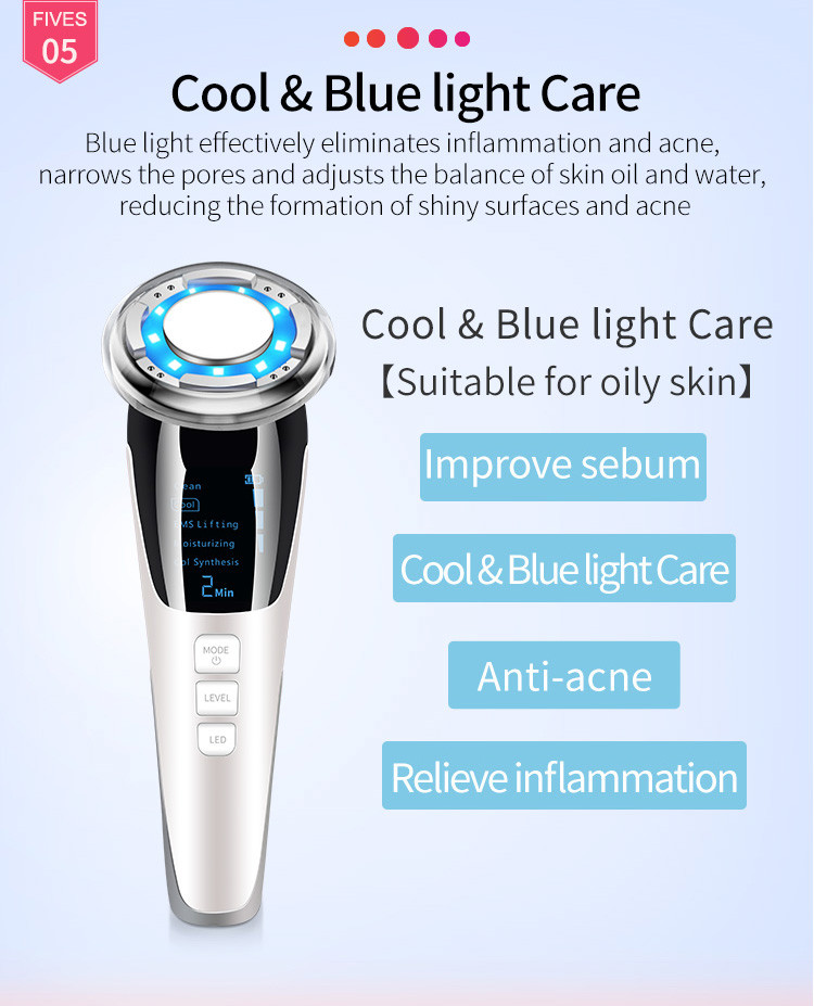 Professional Galvanic Massage 2 In 1 EMS Beauty Device