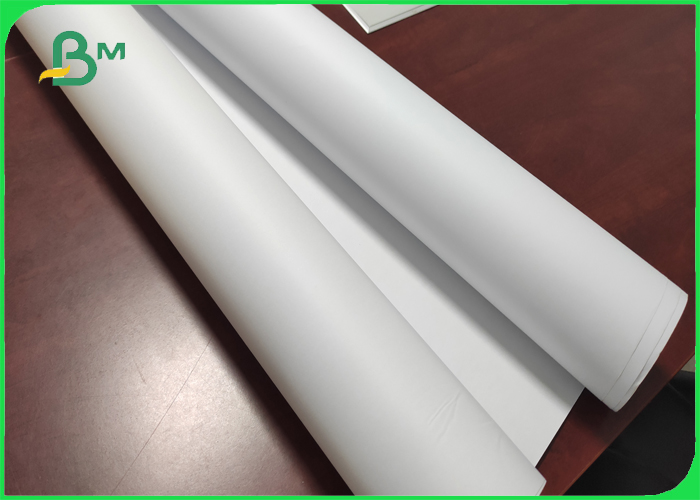 CAD Bond Paper